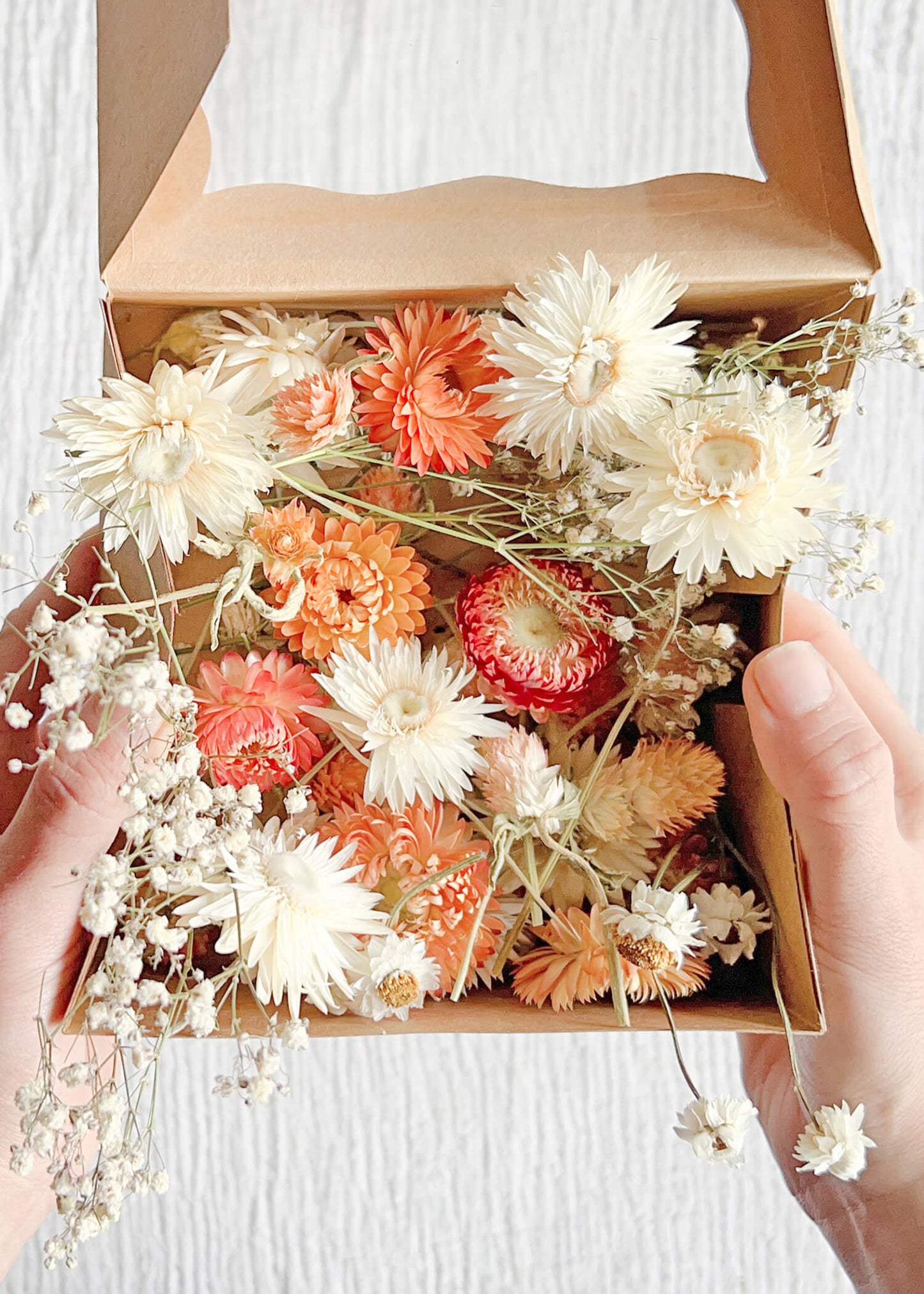Coral and Cream Dried Flower Mix