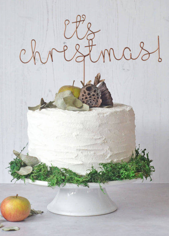 Wire it's Christmas cake topper
